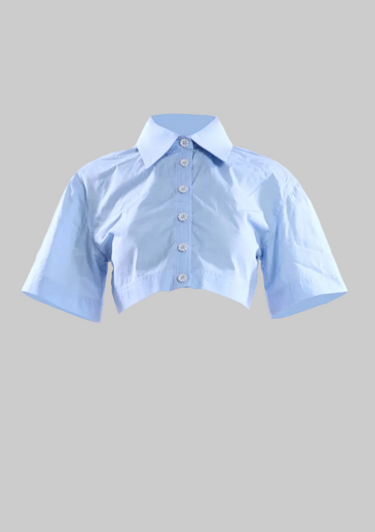 cat cropped shirt